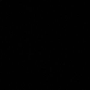 Meet your Posher, Ben